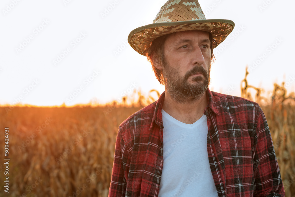 Thoughtful concerned corn farmer agronomist posing in maize crop field