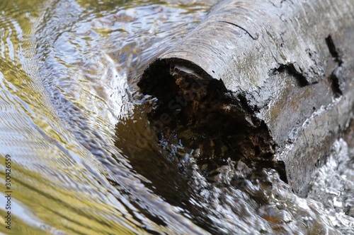 Fototapeta Naklejka Na Ścianę i Meble -  Water cascading around log