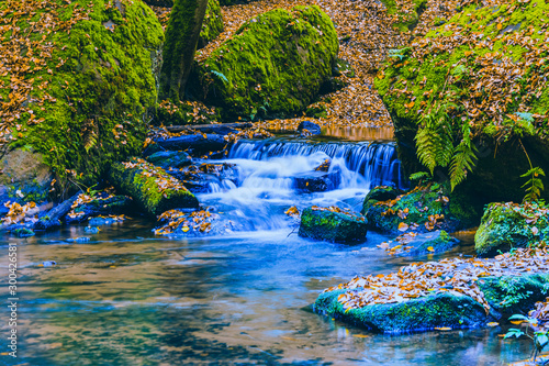 River with moss and stones