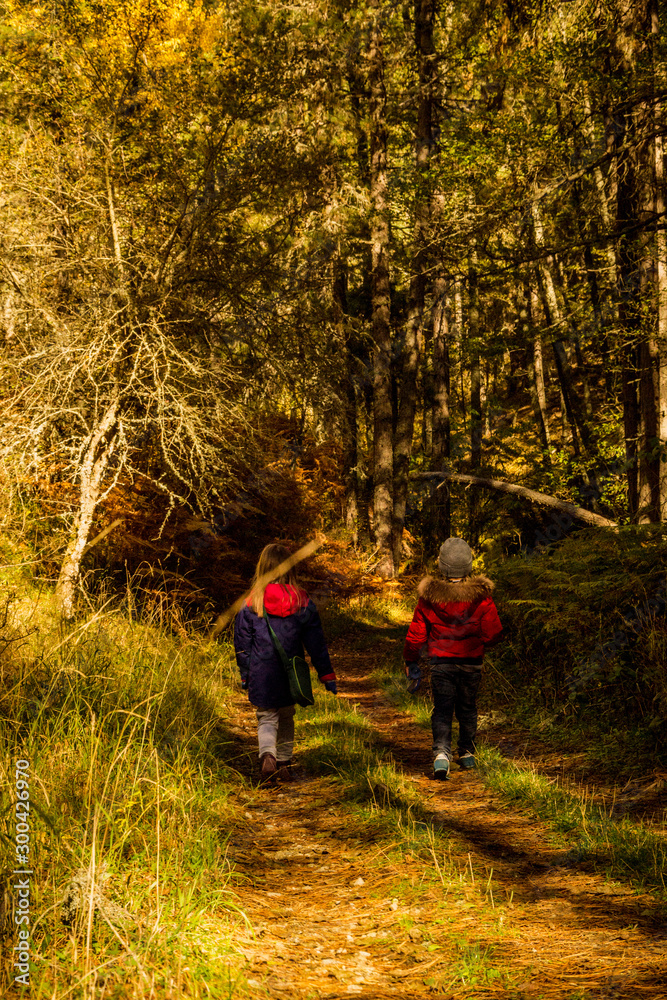 Niños caminando por el bosque