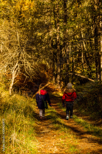 Niños caminando por el bosque