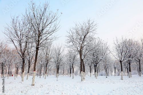 Winter scenery of northern China © YuanGeng