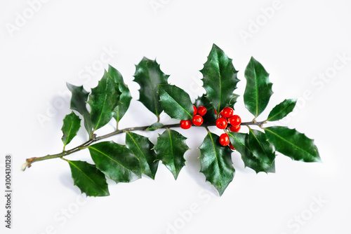 Holly leaves decoration with red berries. Traditional Christmas plant on white background