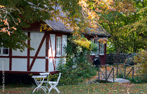 old wooden house in the forest photo