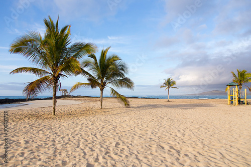 Beautiful deserted beach with coconut trees and wooden lookout platforms seen in the early morning, Puerto Villamil, Isabela Island, Galapagos, Ecuador