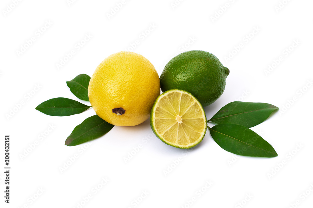 Lime and limon on a white background. Whole and halves limes isolated on white background. Yellow lemon with lime on isolated background. Full depth of field.