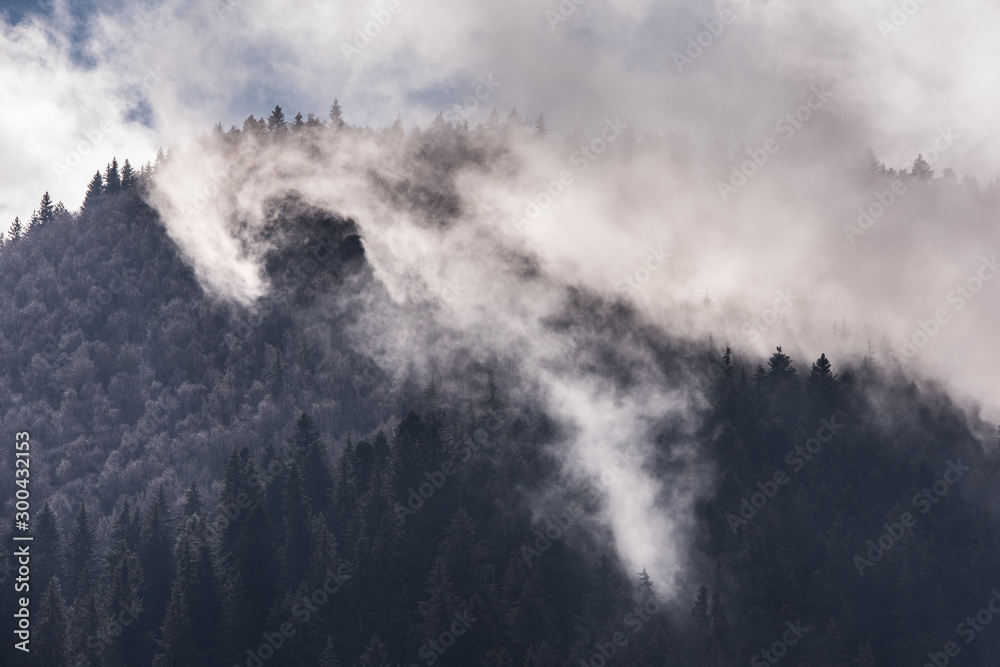 Forest trees with clouds and mist. Beautiful landscape of hill and forest during foggy sunrise. Forest trees with clouds and mist. Beautiful landscape of hill and forest during foggy sunrise.