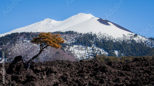 National Park Conguillio - Araucanía, Chile