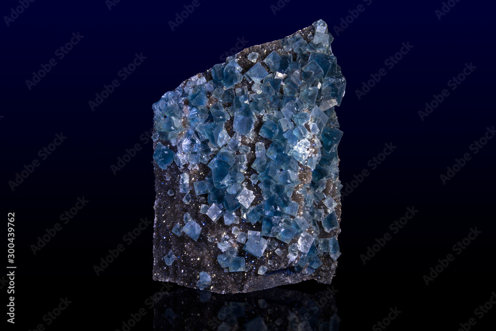 Blue fluorite crystal isolated on the dark background  Blue raw fluorite crystal , macro, close up