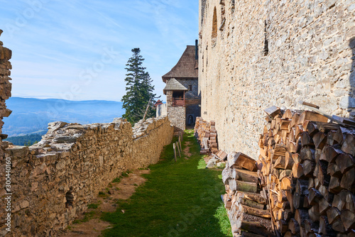 Kasperk castle, Sumava National Park (Bohemian forest), Czech Republic photo
