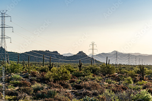 Powerlines in the Arizona desert photo
