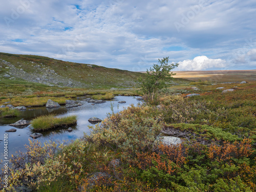 Lapland landscape with small pond, stones boulders, autumn colored bushes, birch tree,grass and mountains at Kungsleden hiking trail near Saltoluokta, Sweden. Blue sky white clouds.