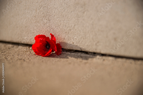 A Poppy is left in the fading light on the Menin Gate in Ypres, Belgium as a memory to those who lost their lives in WWI photo