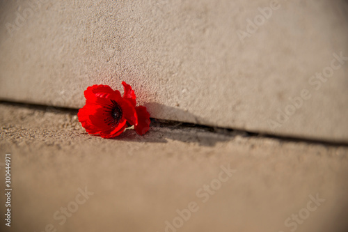 A Poppy is left in the fading light on the Menin Gate in Ypres, Belgium as a memory to those who lost their lives in WWI
