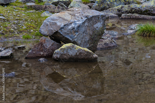 stones in water