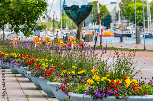 Foto Beautiful flowers fill pots along the Aura River in Turku, Finland in the summertime