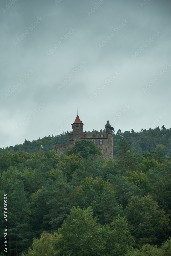 Berwartstein castle,Germany,2019 Berwartstein castle,Germany,2019