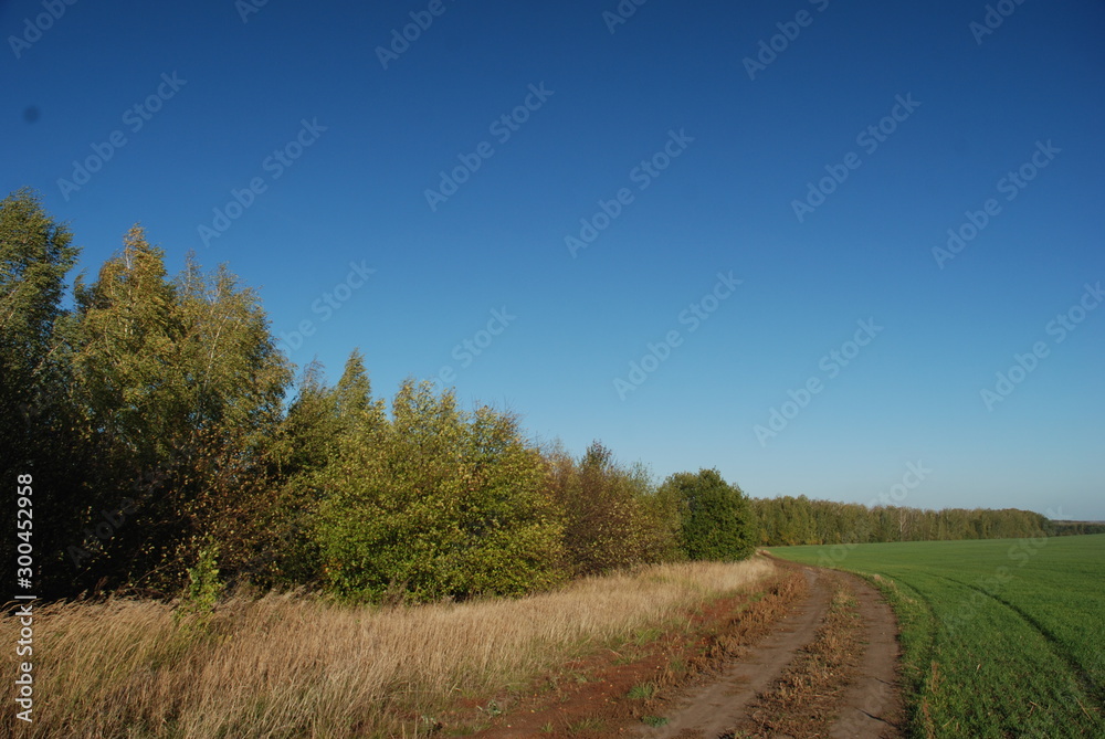 Obraz premium cloudless october