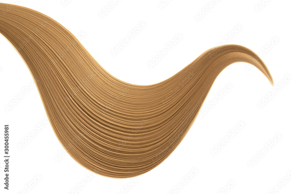 Brown hair on white background, isolated. Long ponytail Brown hair on white background, isolated. Long ponytail