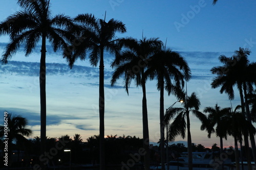 Miami Beach, Florida © Julie