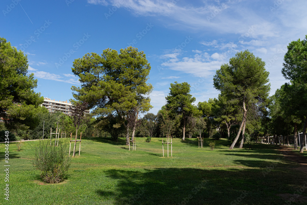 Beautiful green city park in the morning. Valencia, Spain