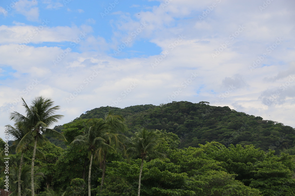 Obraz premium Juquehy Beach Brazil