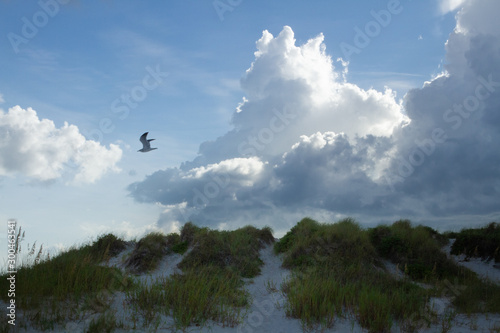 Stormy Skies at the Beach