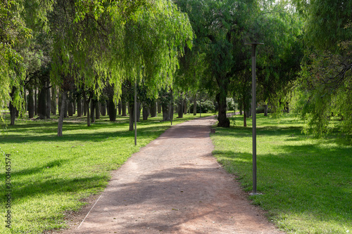 Path in beautiful green city park in the morning. Valencia, Spain