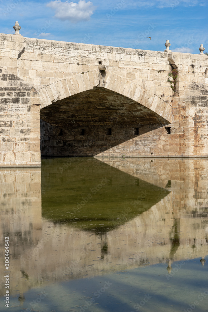 Reflections of an ancient stone bridge across old riverbed. Puente del Mar, Turia river, Valencia, Spain