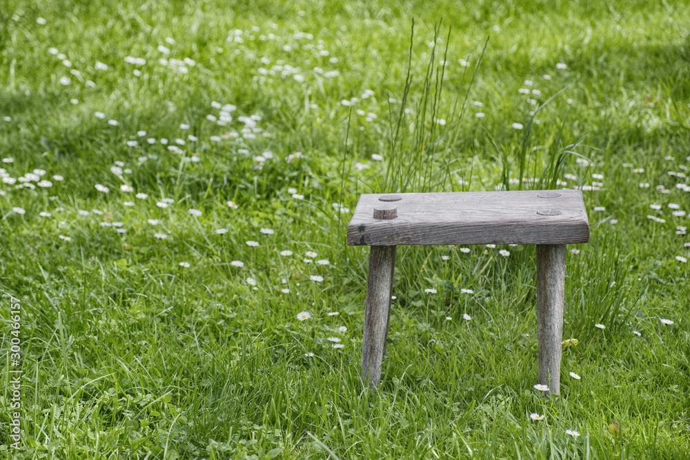 Wooden old seat on green meadow. Wooden old seat on green meadow.