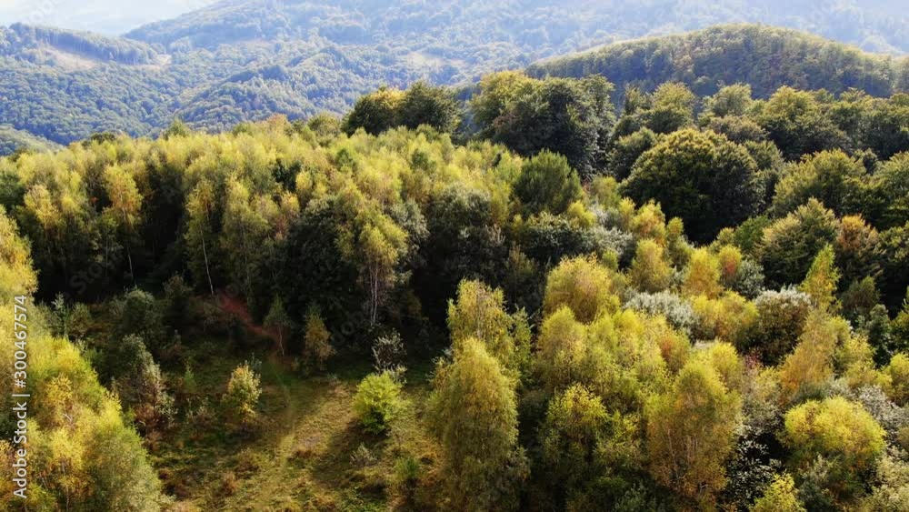 Aerial view mountain with trees in autumn Aerial view mountain with trees in autumn