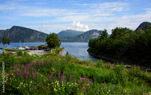 Scenic view of Storfjord shoreline