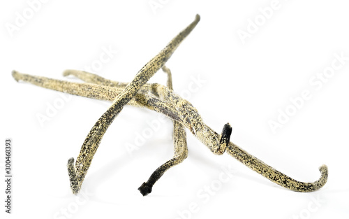 White yellow mould or mildew growing on vanilla sticks stored improperly in wet and cold fridge - close up detail photo isolated on white background
