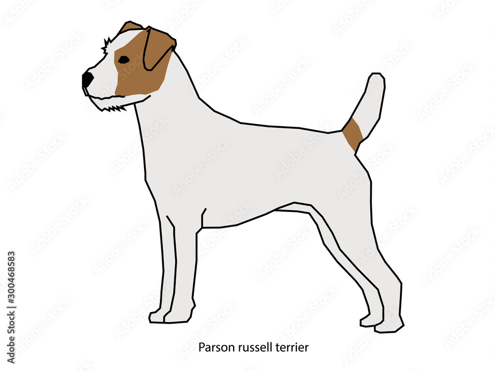 A dog vector illustration isolated