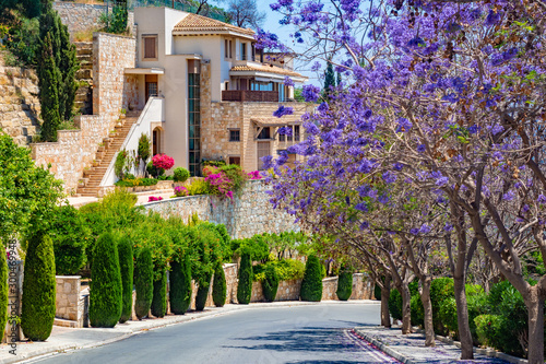 Republic of Cyprus. Pissouri Village. The road goes past flowering trees. Flora Of Cyprus. Bright landscape of Pissouri village. Picturesque house of yellow stones. Trees with lilac flowers. photo
