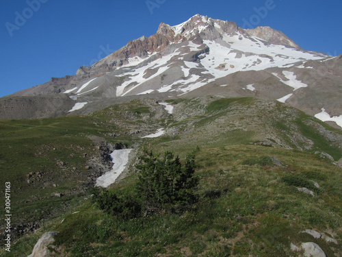 A summer time view of the old crumbling volcano Mt. Hood from Paradise Park.