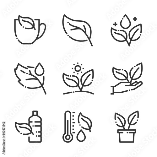 Leaf and plants related, bold line icons. The illustrations are about water, care, gardening, environmental, nature.