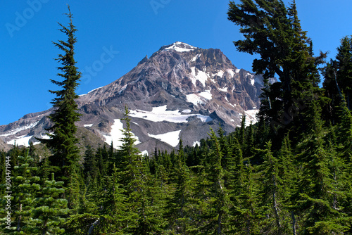A summer time view of the Northwest side of Mt. Hood from the timberline trail. Visable is what is left of the Glisan Glacier and Pulpit Rock. photo