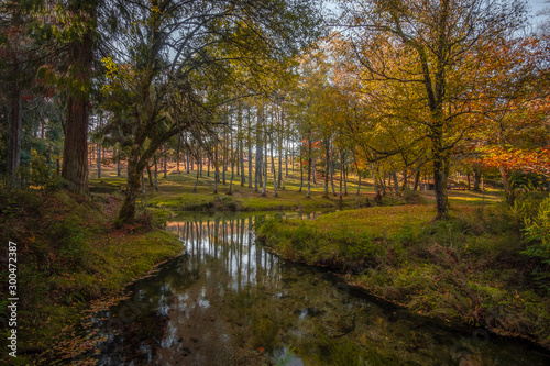 Fototapeta Naklejka Na Ścianę i Meble -  Bonita paisagem e lago na floresta no outono