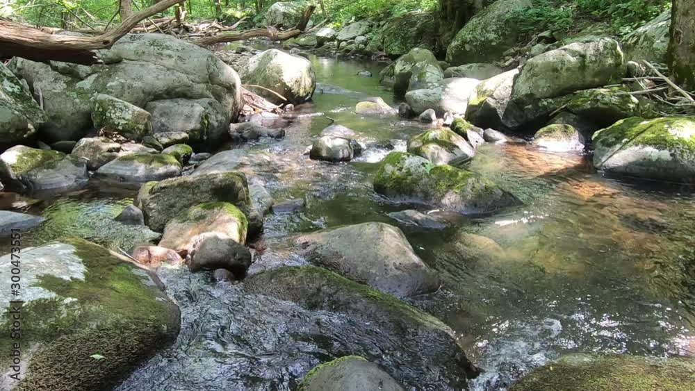 Hazel River, Shenandoah Virginia - Mid Shot looking Down River Hazel River, Shenandoah Virginia - Mid Shot looking Down River