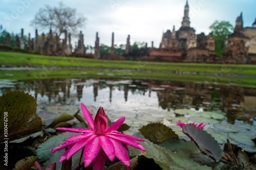 lily flower on a lake with temple ruins in background