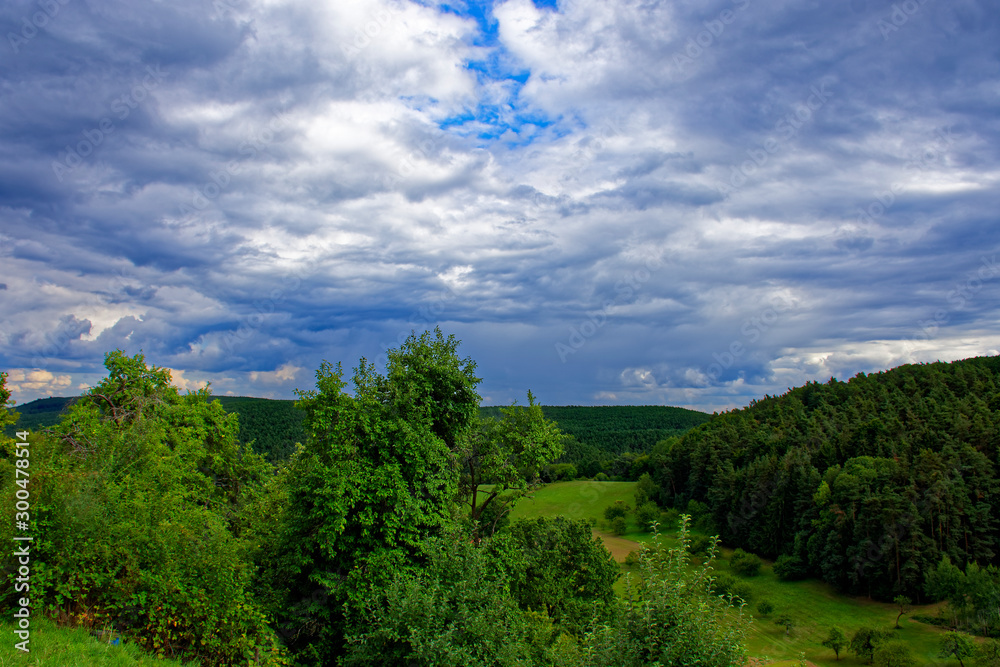 Beautiful sky with clouds near the forest