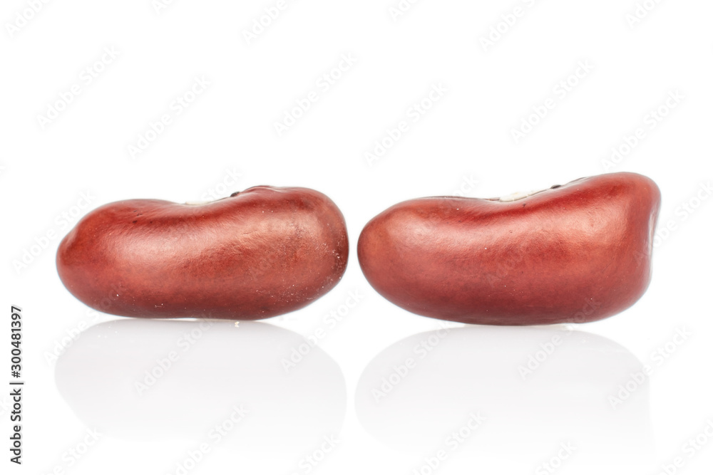 Group of two whole fresh red kidney beans isolated on white background Group of two whole fresh red kidney beans isolated on white background