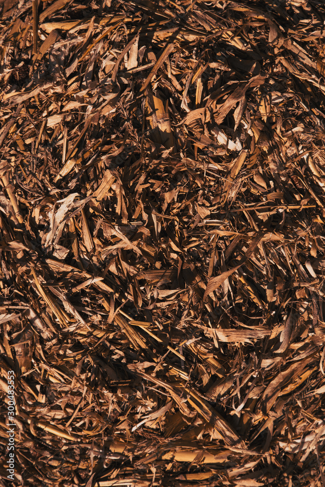 Straw, dry straw, hay straw yellow background, hay straw texture. Yellow hay animal feed background Straw, dry straw, hay straw yellow background, hay straw texture. Yellow hay animal feed background