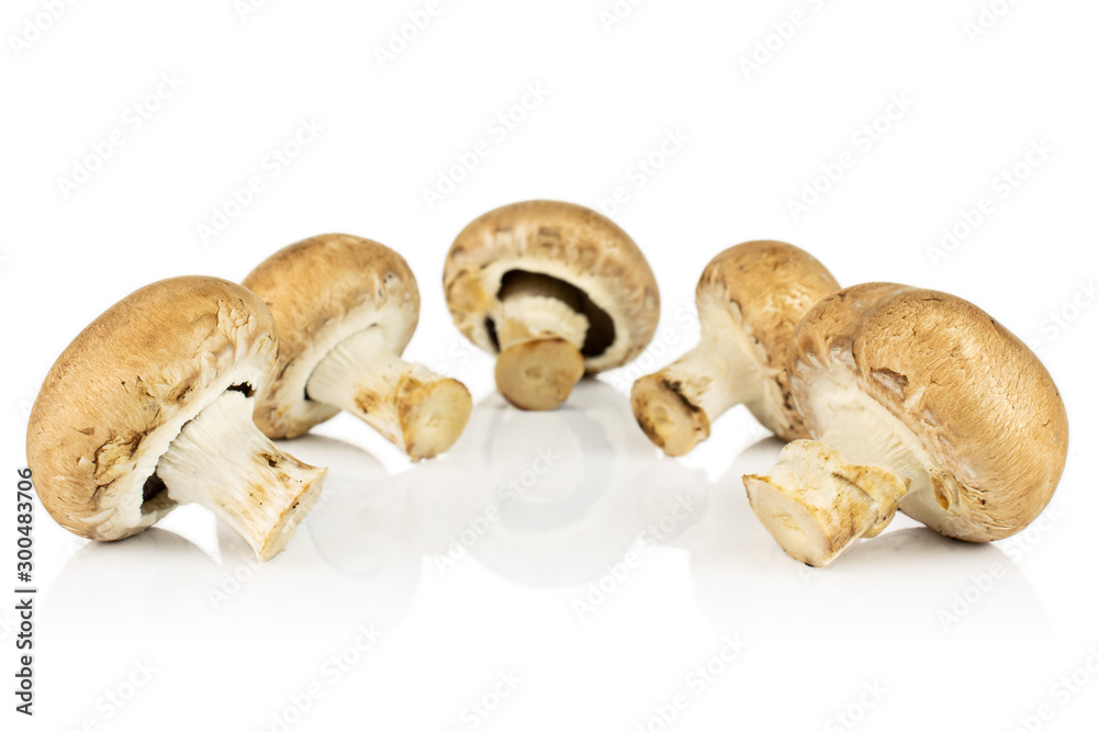 Fototapeta premium Group of five whole fresh brown champignon isolated on white background