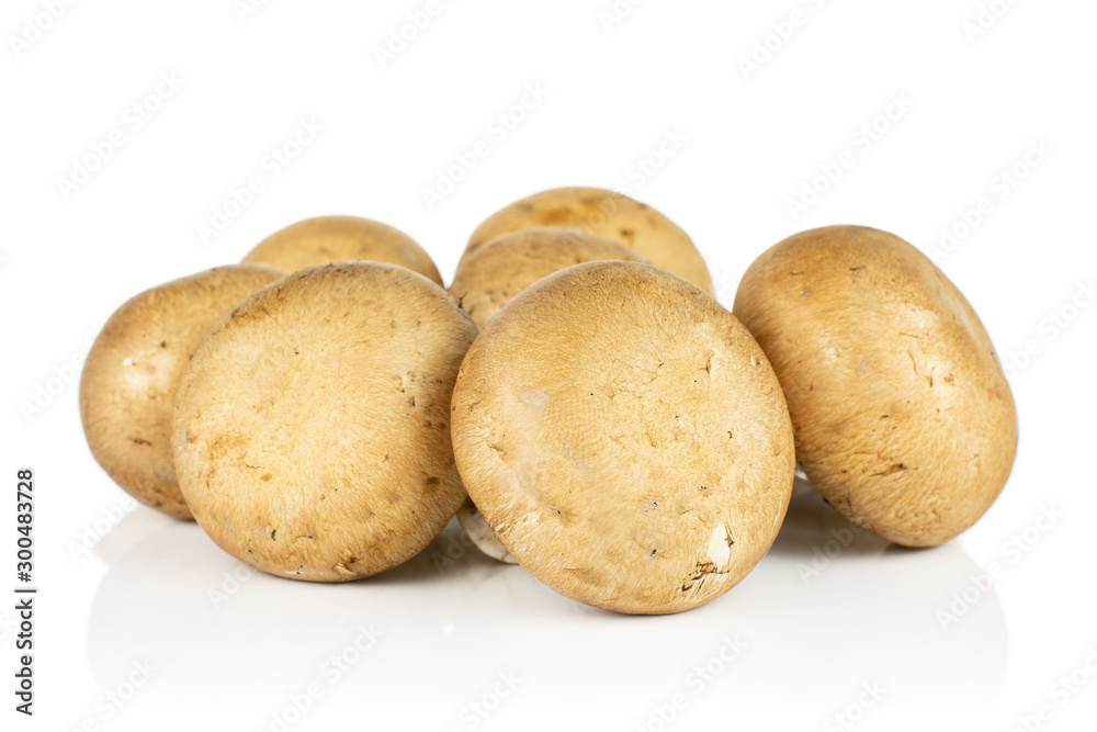 Group of six whole fresh brown champignon isolated on white background Group of six whole fresh brown champignon isolated on white background