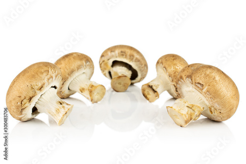 Group of five whole fresh brown champignon isolated on white background