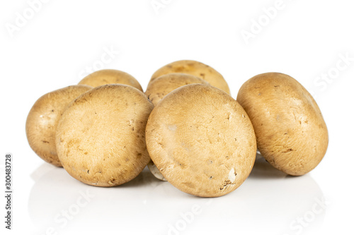 Group of six whole fresh brown champignon isolated on white background