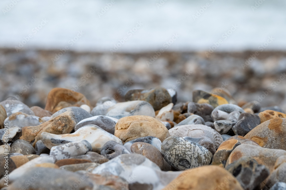 Venericor bivalve shell amongst pebbles on the beach at Bracklesham Bay near East Wittering, West Sussex UK. Venericor bivalve shell amongst pebbles on the beach at Bracklesham Bay near East Wittering, West Sussex UK.