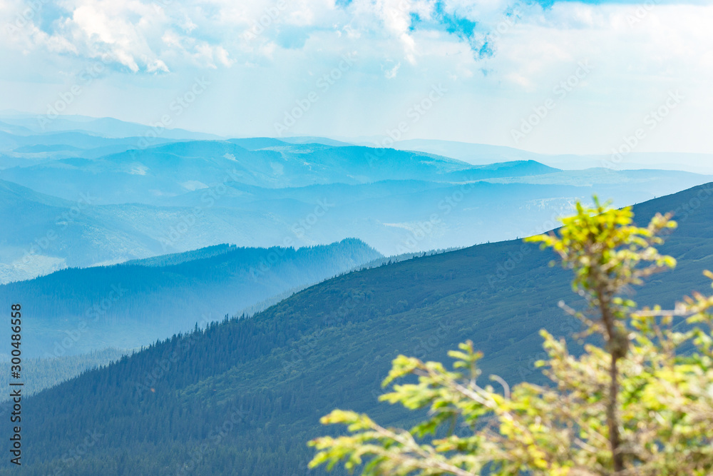 Summer Carpathian mountains in sunny day. Beautiful panorama nature backdrop with cloudy blue sky on background